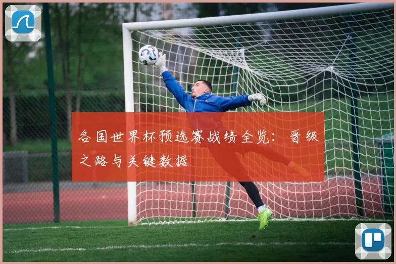 各国世界杯预选赛战绩全览:晋级之路与关键数据