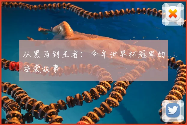 从黑马到王者:今年世界杯冠军的逆袭故事