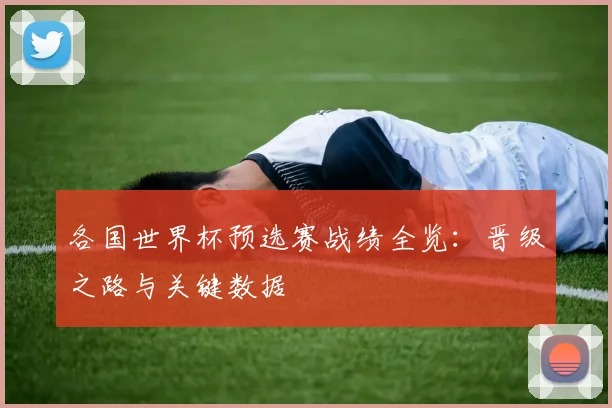 各国世界杯预选赛战绩全览:晋级之路与关键数据