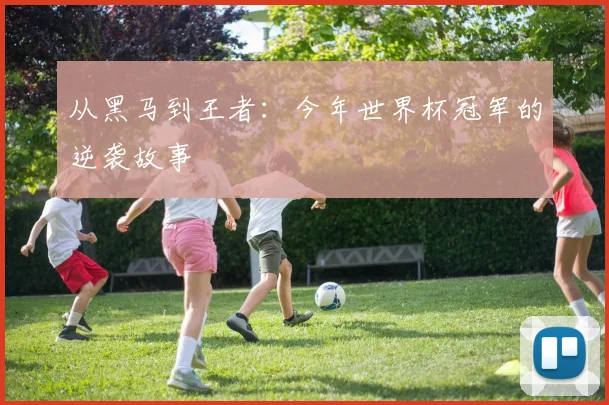 从黑马到王者:今年世界杯冠军的逆袭故事