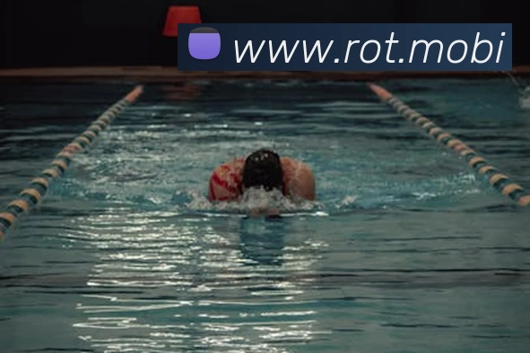 App Interface Preview