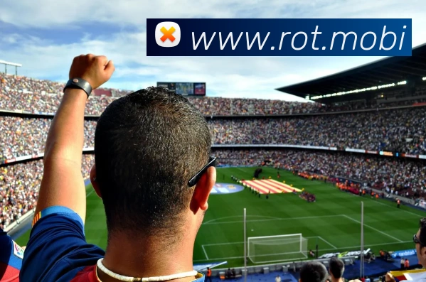 开云账号中心登录入口APP 封面图